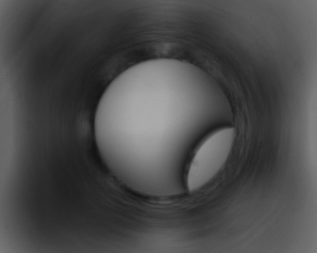 X0000096980754200802080859