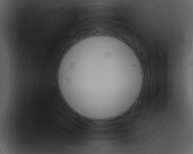 X0000096980756200802080859
