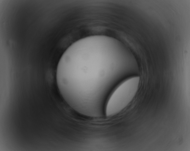 X0000096980758200802080859