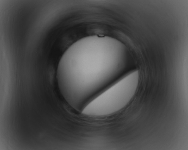 X0000096980760200802080859