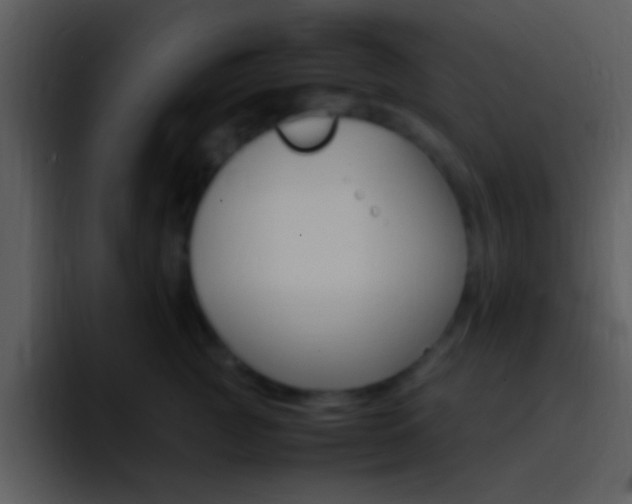 X0000096980761200802080859