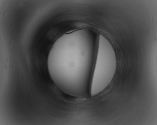 X0000096980762200802080859