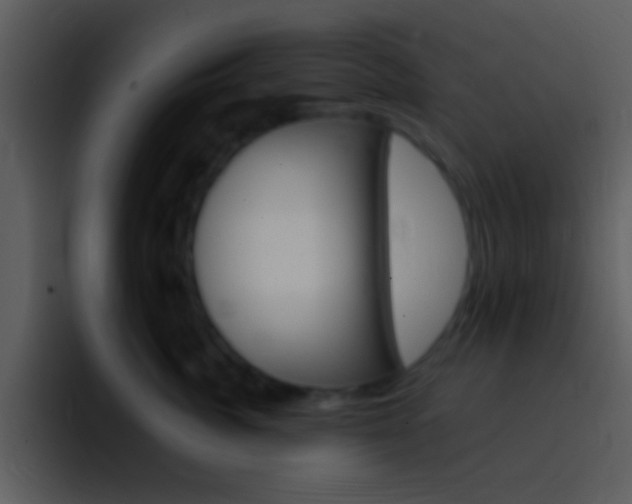 X0000096980764200802080859