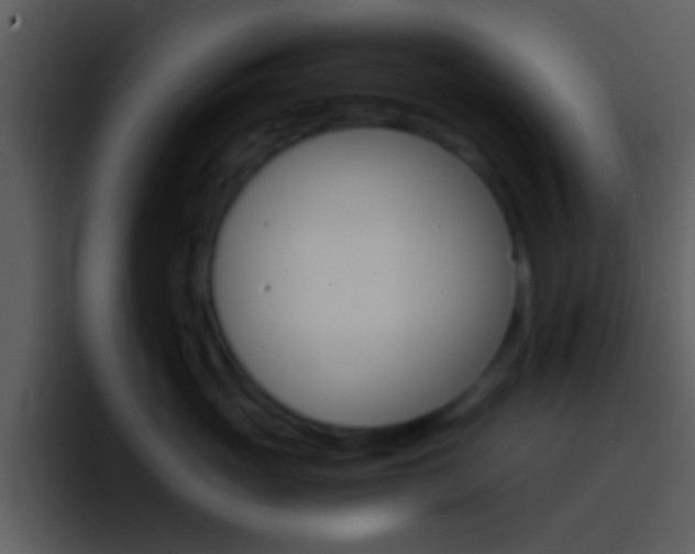 X0000096980765200802080859