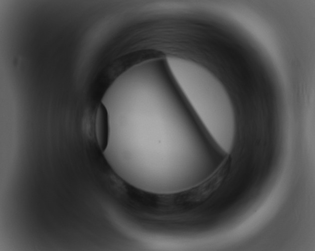 X0000096980766200802080859