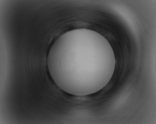 X0000096980767200802080859