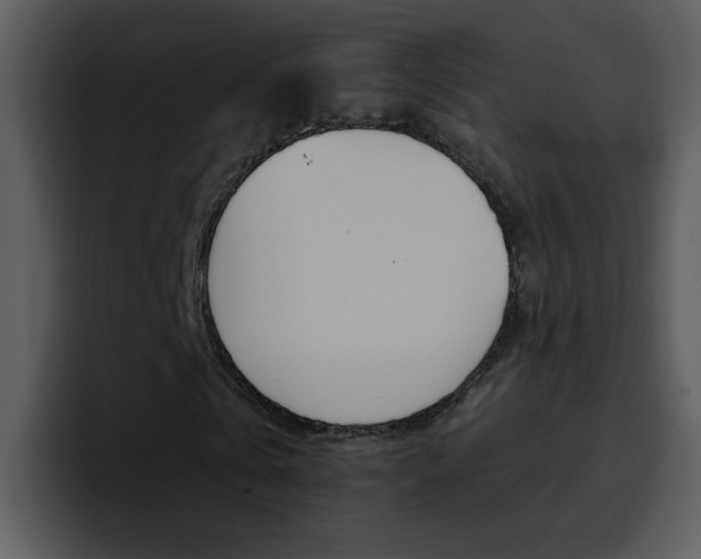 X0000096980769200802080858