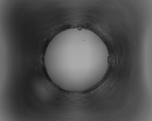 X0000096980770200802080858