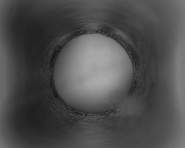 X0000096980773200802080858
