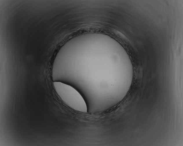 X0000096980774200802080858