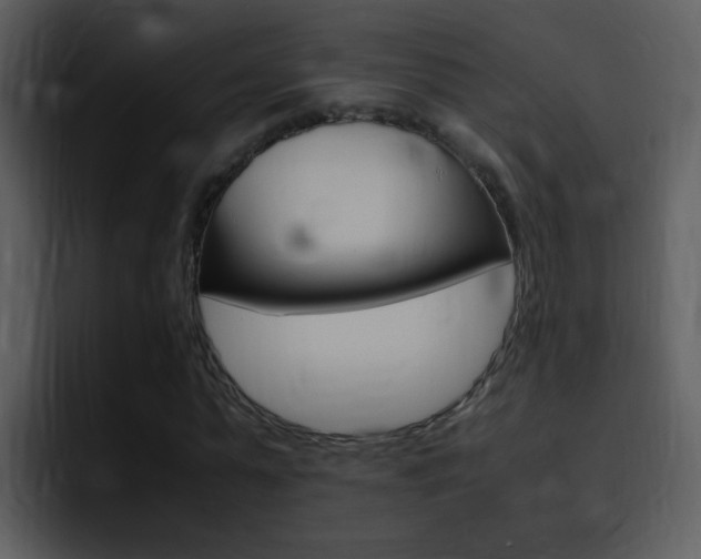 X0000096980775200802080858