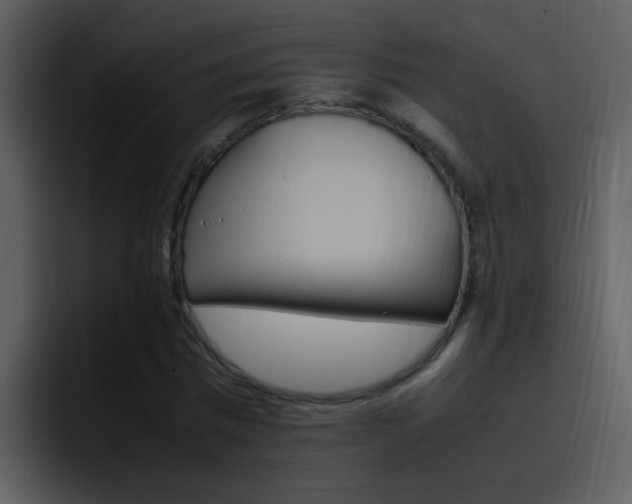 X0000096980777200802080858