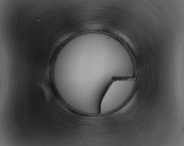 X0000096980778200802080858