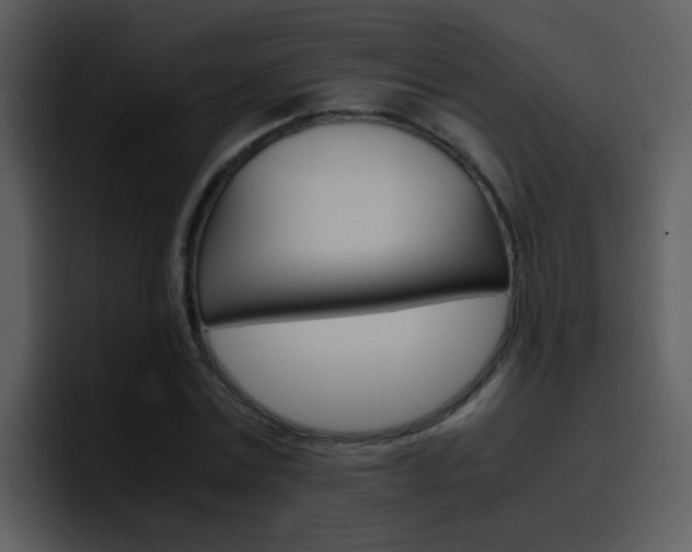 X0000096980779200802080858