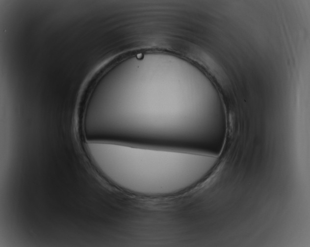 X0000096980780200802080858