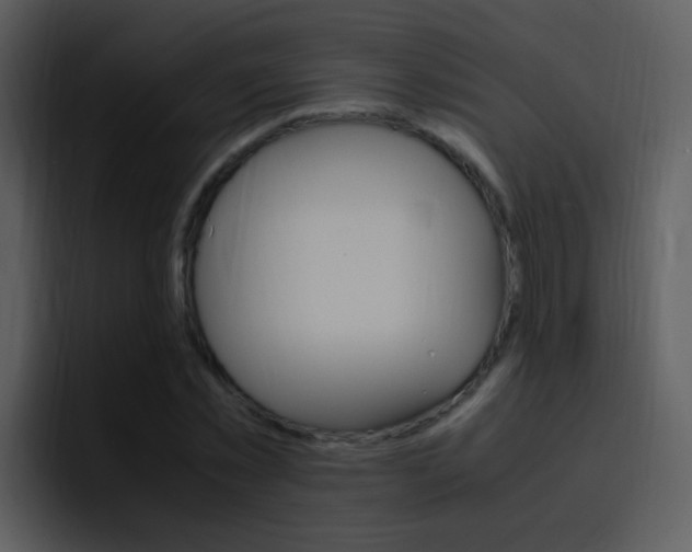 X0000096980781200802080858