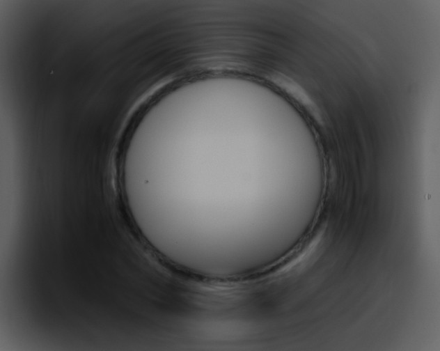 X0000096980782200802080858