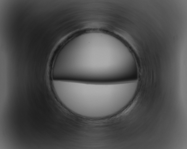 X0000096980783200802080858