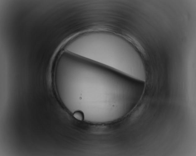 X0000096980784200802080858