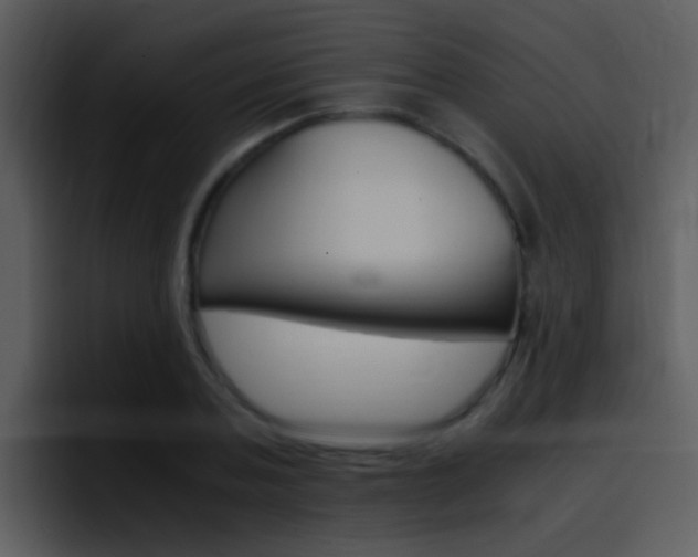 X0000096980787200802080858