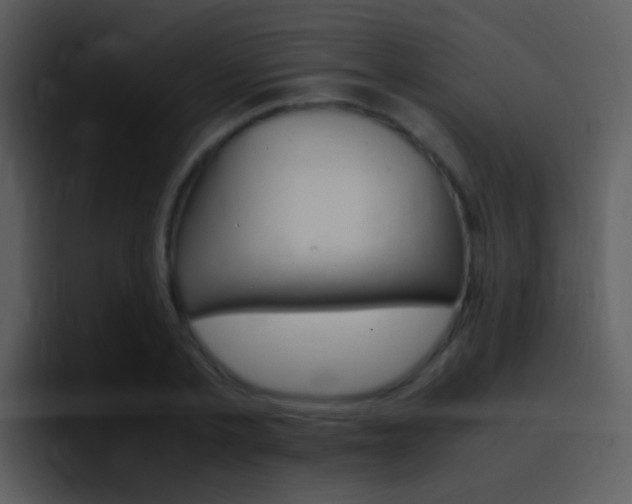 X0000096980789200802080858