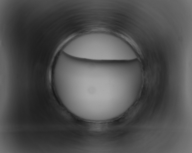 X0000096980790200802080858