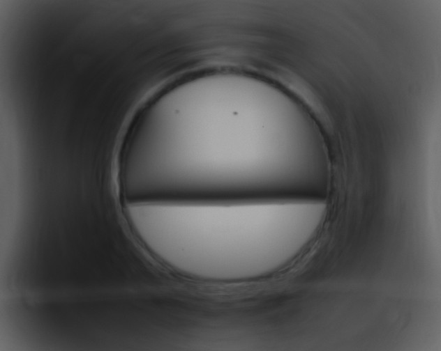 X0000096980791200802080858