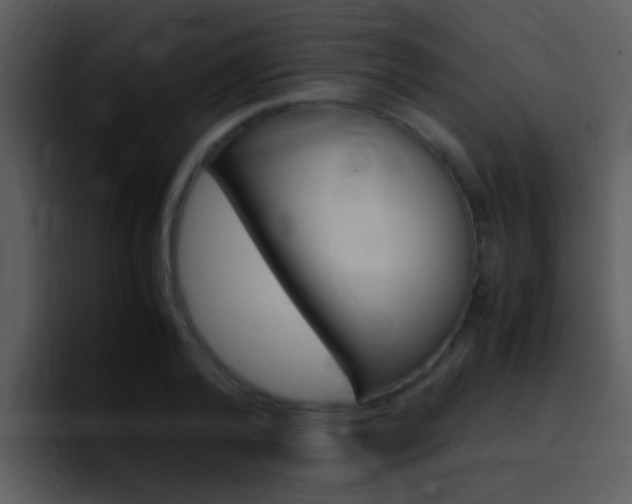 X0000096980792200802080858