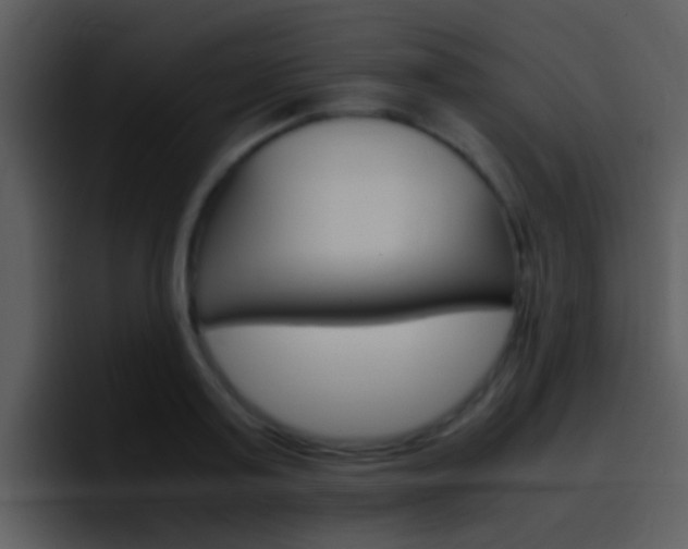 X0000096980795200802080858
