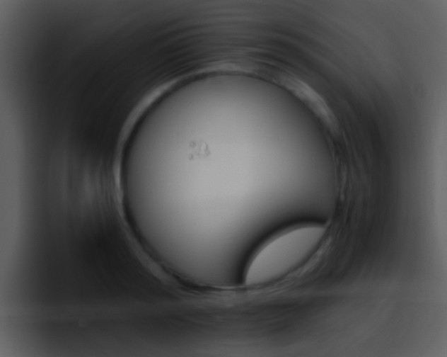 X0000096980796200802080858