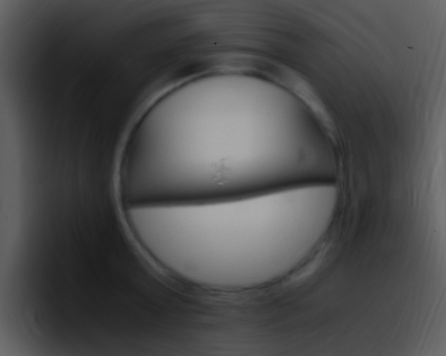 X0000096980803200802080858