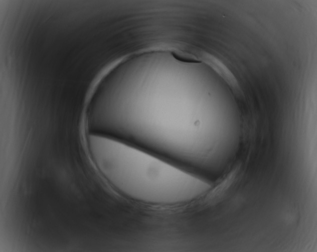 X0000096980804200802080858