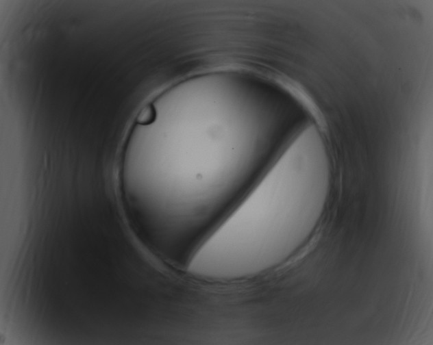 X0000096980805200802080858