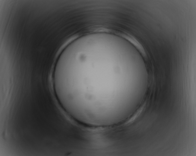 X0000096980806200802080858