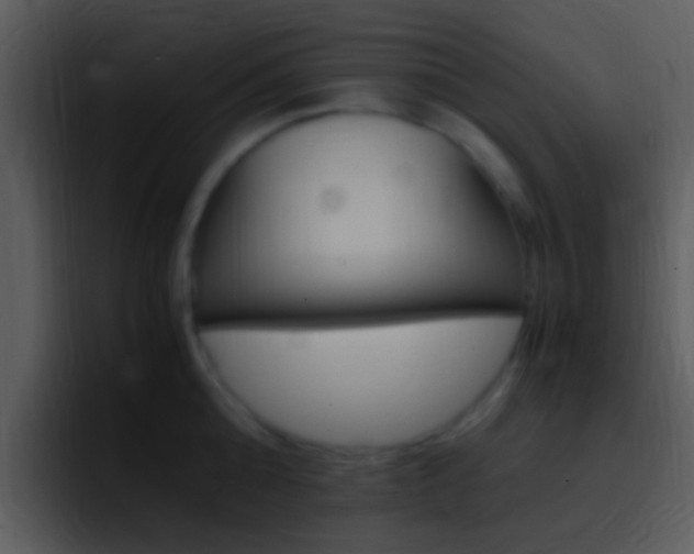 X0000096980808200802080858