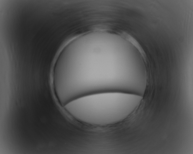 X0000096980811200802080858