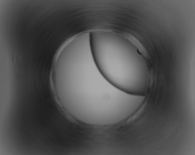 X0000096980812200802080858