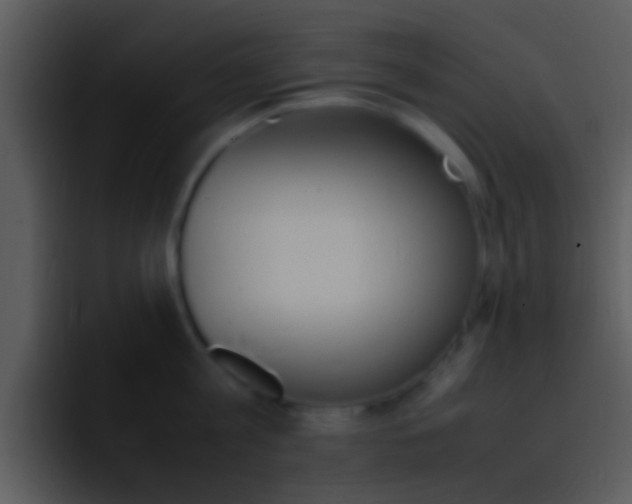 X0000096980813200802080858