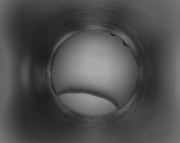 X0000096980814200802080858