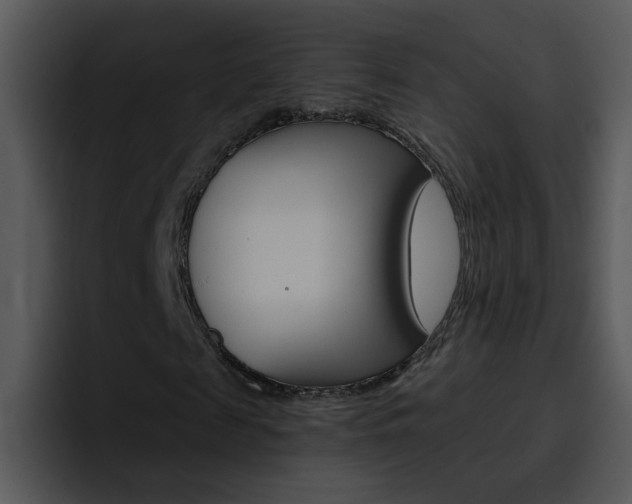 X0000096980817200802080857