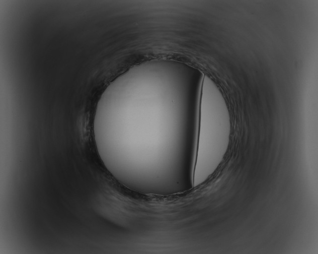 X0000096980818200802080857