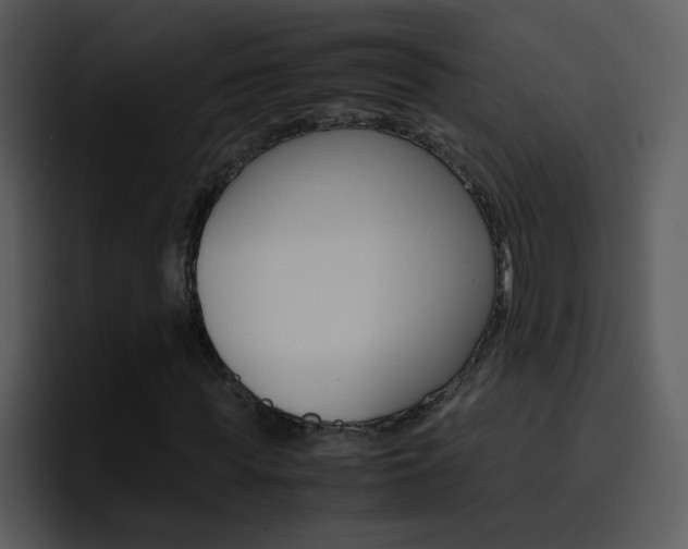X0000096980819200802080857