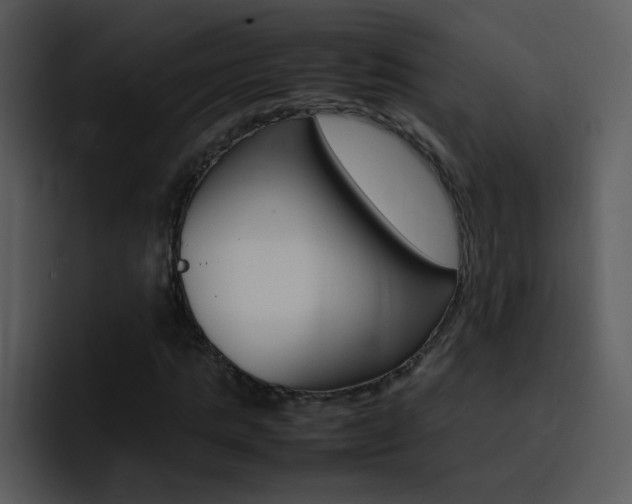 X0000096980821200802080857