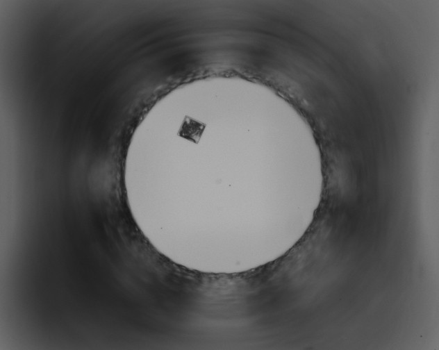 X0000096980824200802080857