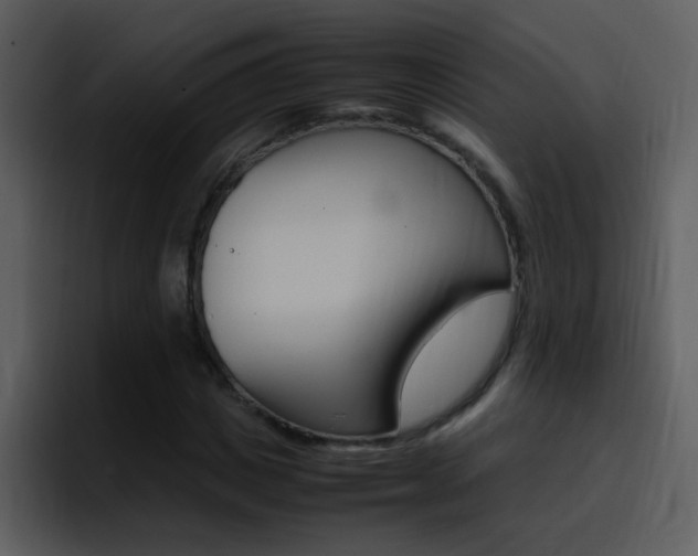 X0000096980825200802080857