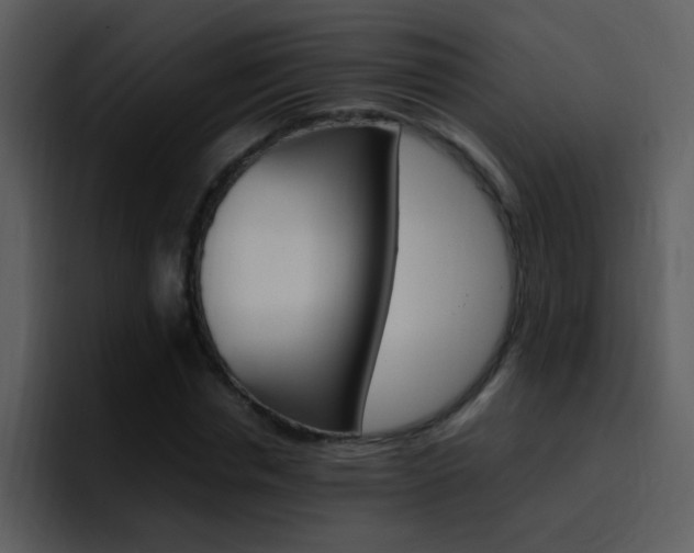 X0000096980826200802080857