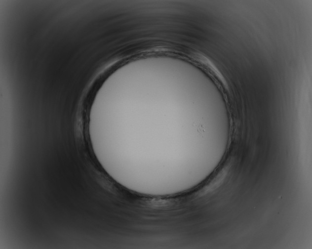 X0000096980827200802080857