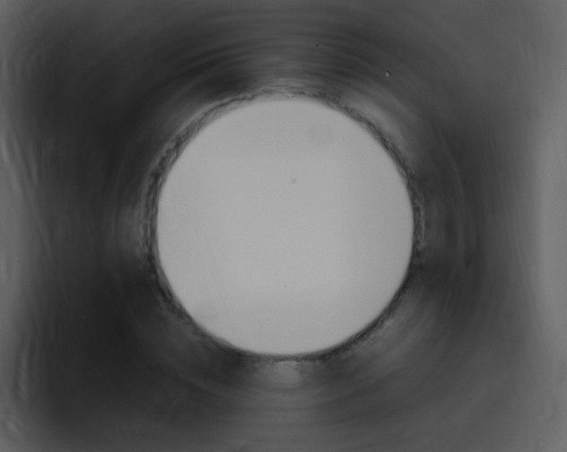 X0000096980828200802080857