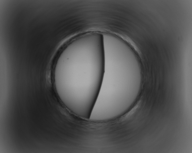 X0000096980830200802080857