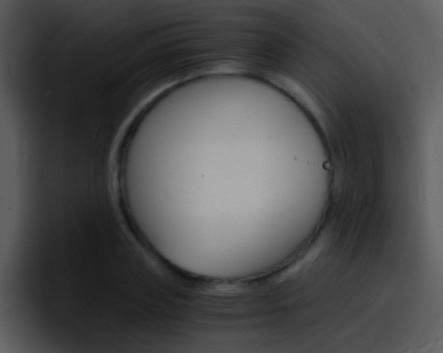 X0000096980835200802080857